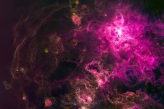 Tarantula Narrow band Starless by aramis