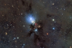 NGC1333 by Daikomon