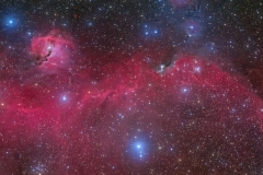 IC2177 three panel mosaic by Daikomon