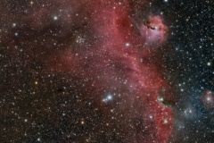 IC2177  by M&M