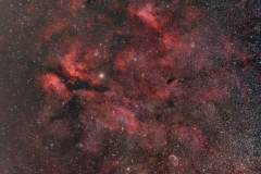 Nebula around Sadr  by M&M