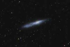 NGC55 by Masahiko Niwa