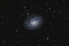 NGC300 by Masahiko niwa
