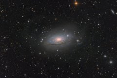 M63 by Daikomon and so--nano-car