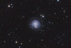 NGC3344 by Daikomon