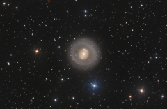 NGC1269/1291 by Daikomon