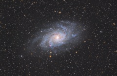 M33 by Daikomon